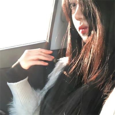 鲨与鲸